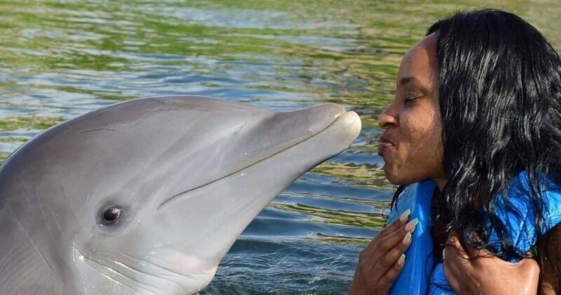 Montego Bay: Swim With The Dolphins Adventure in Lucea - Good To Know