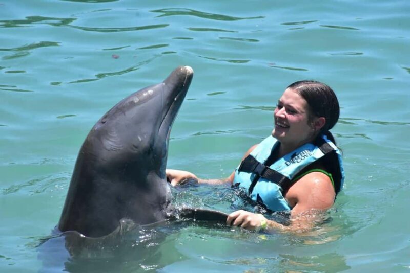 Montego Bay: Swim With The Dolphins Adventure in Lucea - What to Expect From This Dolphin Adventure