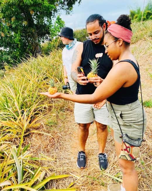 Montego Bay: The Great Kids Quest to the South Coast - An In-Depth Look at the Tour Experience  