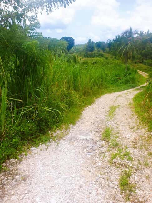 Montego Bay: The Great Kids Quest to the South Coast - FAQs  