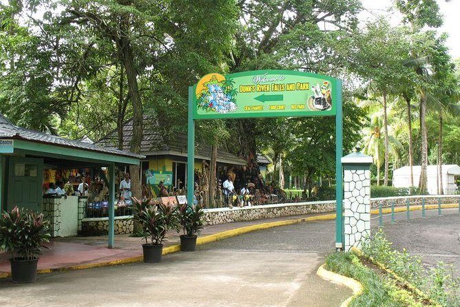 Montego Bay to Dunn's River Falls Half-Day Trip - Authentic Experiences & Hidden Details from Reviews