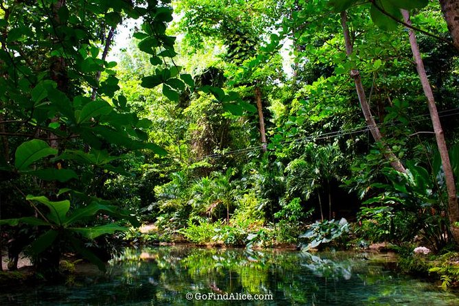 Montego Bay to Mystic Mountain Bobsled and Dunns River Falls - Bobsledding Adventure at Mystic Mountain