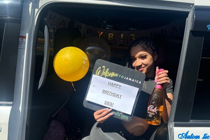 Montego Bay to Ocho Rios Hotels Private Transfer - Who Would Love This Service?