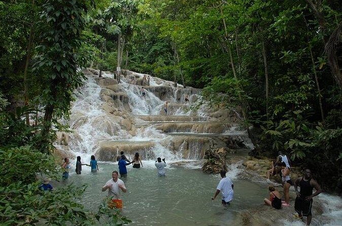 Montego Bay tour: Dunn's River Falls - Practical Details: Price, Duration, and What’s Included