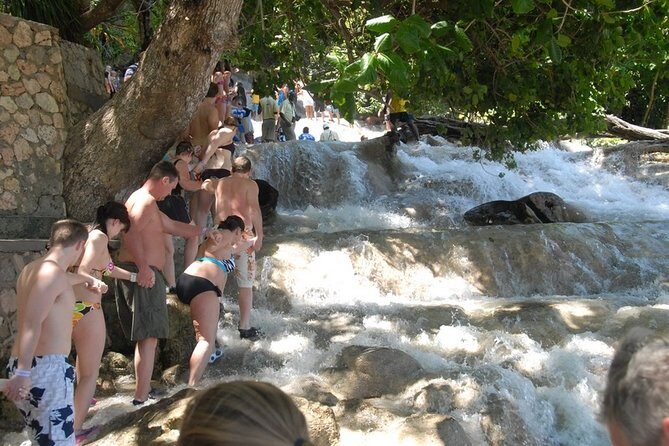 Montego Bay tour: Dunn's River Falls - What Travelers Love Most