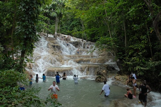 Montego Bay Tour: Dunns River Falls - Tour Details