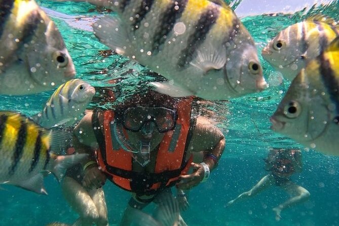 Montego Bay Tropical Bliss Beach Private Tour - Tour Overview