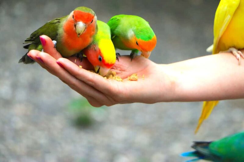 Montego Bay: Yaaman Adventure Park ATV Tour with Lunch - Practical Details & Tips for Travelers  