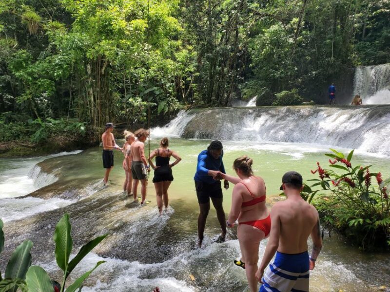 Montego Bay: YS Falls and Appleton Rum Private Tour by Van - Who Will Love This Tour