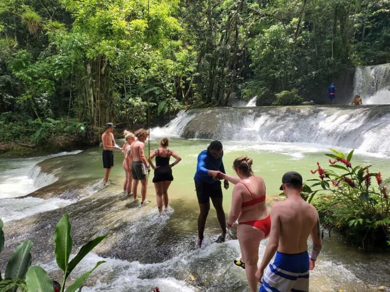 Montego Bay: YS Falls and Appleton Rum Private Tour by Van - The Sum Up