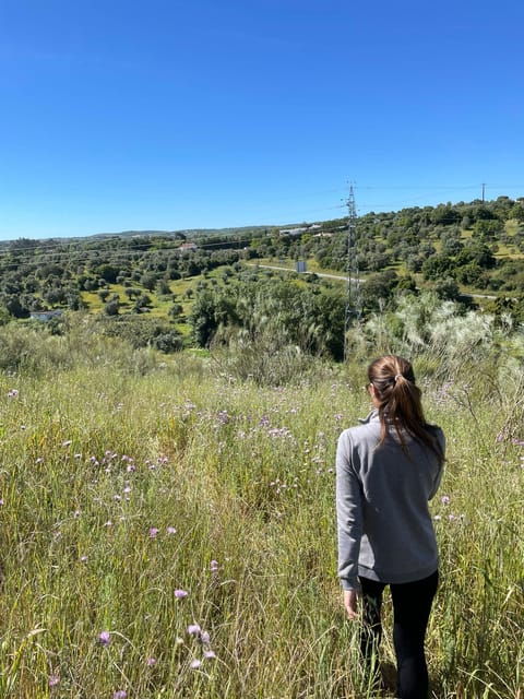 Montemor-O-Novo: Guided Hiking Tour With Lunch - Good To Know