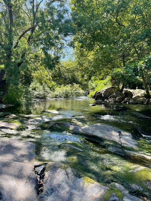 Montemor-O-Novo: Guided Hiking Tour With Lunch - Itinerary Details