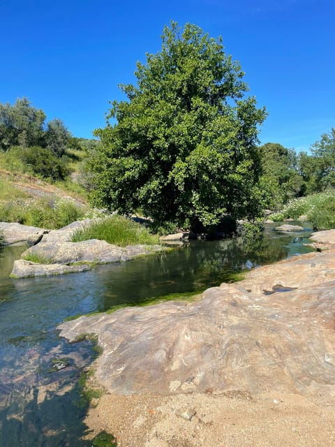 Montemor-O-Novo: Guided Hiking Tour With Lunch - Guided Hiking Tour