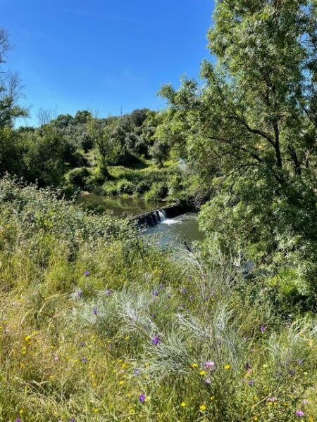 Montemor-O-Novo: Guided Hiking Tour With Lunch - Sung Menu Performance