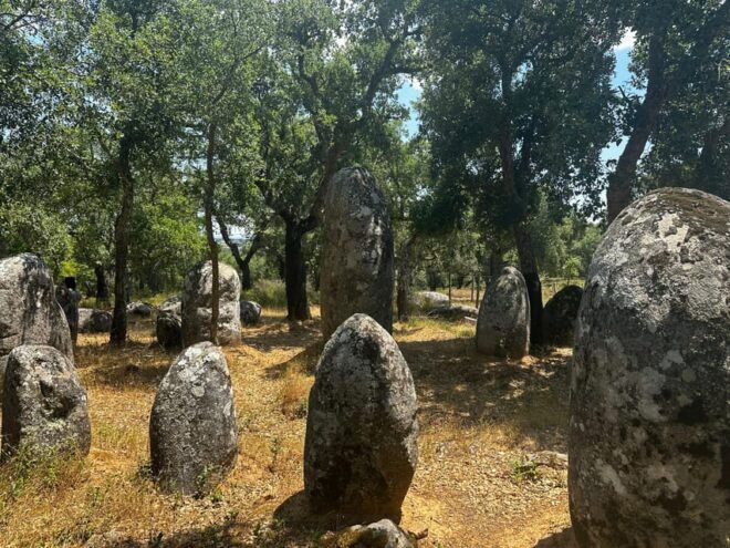 Montemor-o-Novo or Évora: One-Day Tour of Megaliths - Transportation and Accessibility