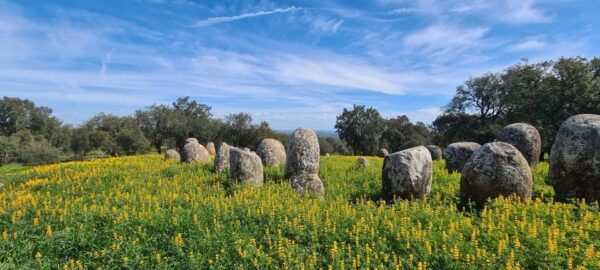 Montemor-o-Novo or Évora: One-Day Tour of Megaliths - Frequently Asked Questions