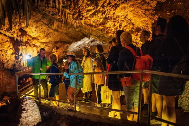 Montenegro: Lipa Cave Guided Tour with Transfer - A Deep Dive into the Lipa Cave Guided Tour