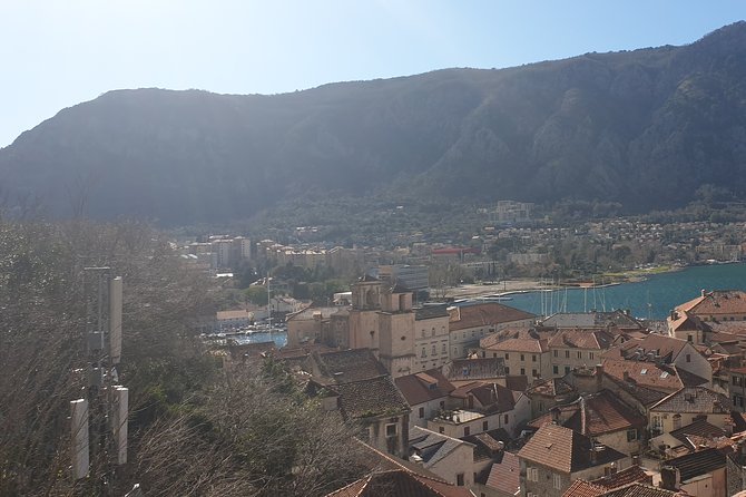 Montenegro Private Tour From Dubrovnik - Operator Details