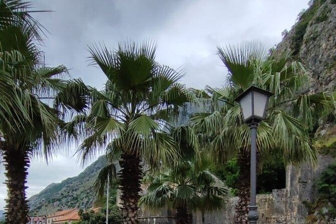 Montenegro Private Tour From Dubrovnik - Meeting and Pickup Details