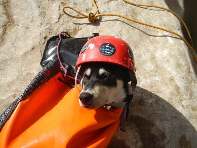 Montenegro: Rikavac and Meureki Family Canyoning Adventure - FAQ