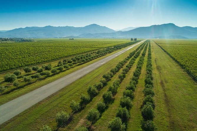 Montenegro Wine Road Tour - Operating Hours and Accessibility