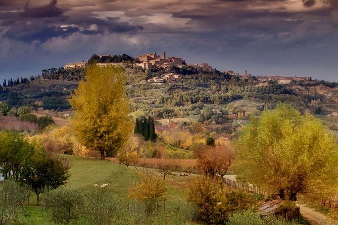 Montepulciano and Pienza Tuscany Wine&Cheese Full Day From Florence - Booking Instructions