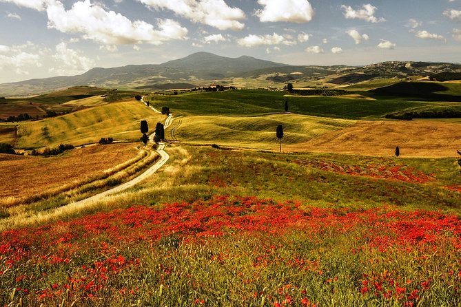Montepulciano and Pienza Tuscany Wine&Cheese Full Day From Rome - Good To Know