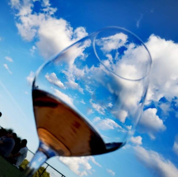MONTEPULCIANO - ARTISAN HEROIC WINE TASTING AT THE TERRACE - Customer Feedback and Highlights