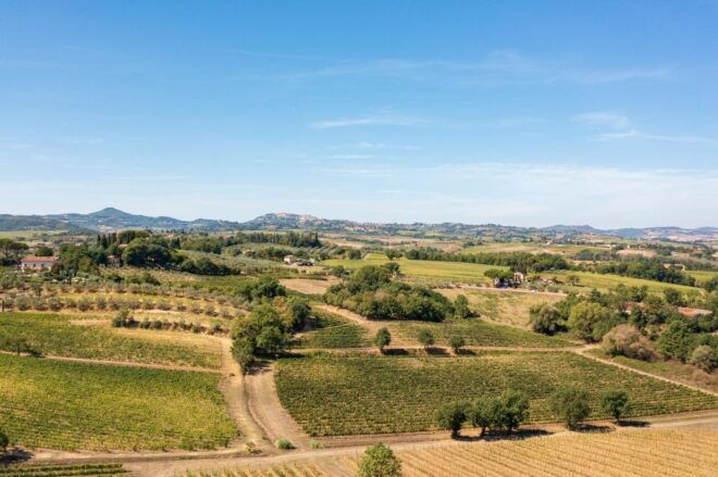 Montepulciano: Learn How To Taste Wine - Frequently Asked Questions