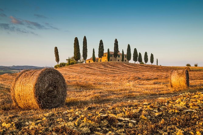 Montepulciano, Montalcino, Pienza From Florence - Reviews and Recommendations From Travelers