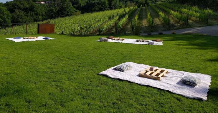 MONTEPULCIANO - PIC NIC WITH WINE! SURROUNDED BY VINEYARDS - Good To Know