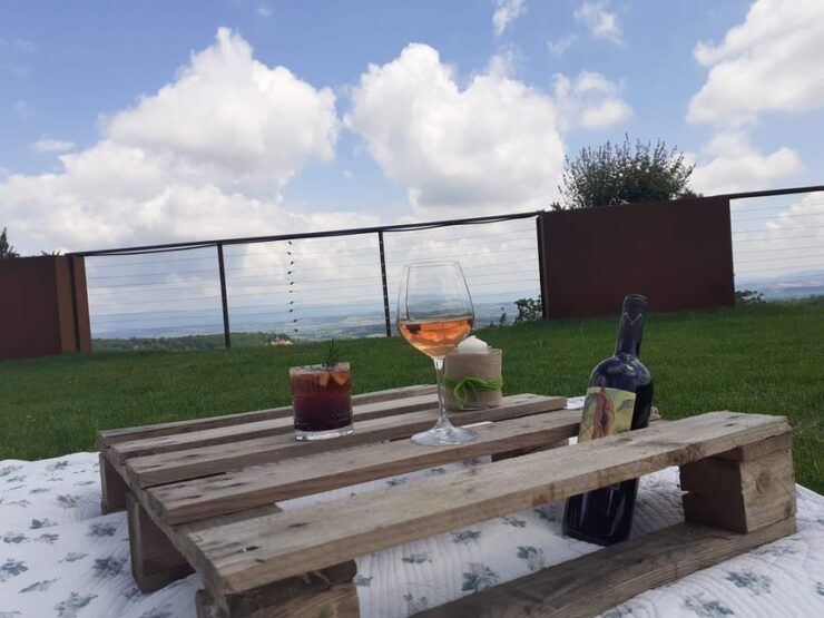MONTEPULCIANO - PIC NIC WITH WINE! SURROUNDED BY VINEYARDS - Exploring the Vineyards