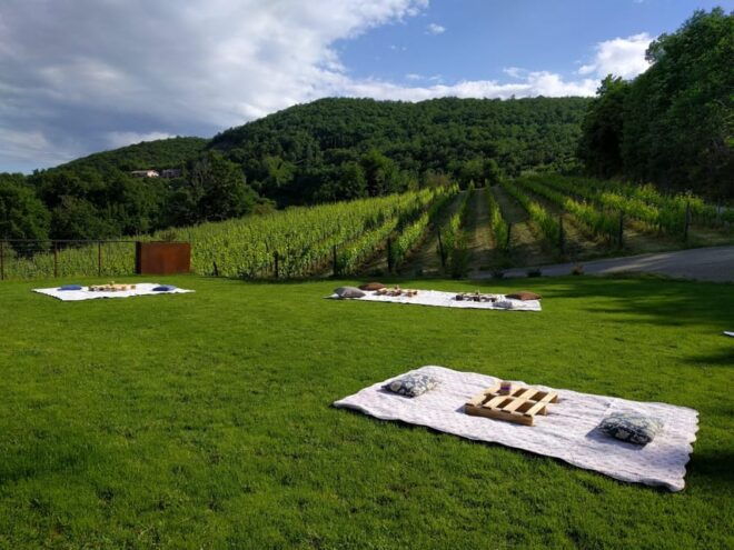 MONTEPULCIANO - PIC NIC WITH WINE! SURROUNDED BY VINEYARDS - Tasting the Wines