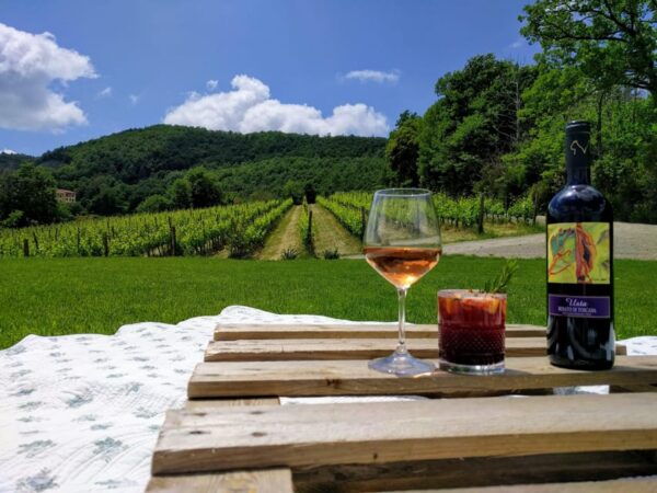 MONTEPULCIANO - PIC NIC WITH WINE! SURROUNDED BY VINEYARDS - Booking Information