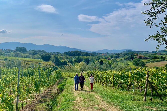 Montepulciano Pienza Montalcino Tour From Florence - Common Questions