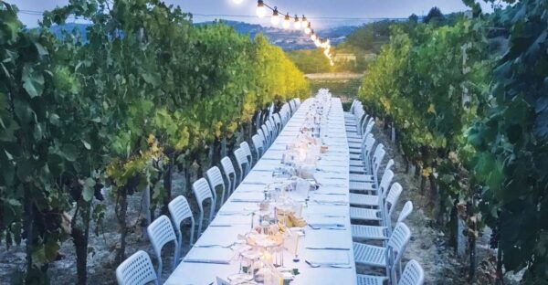 Montepulciano: Tuscan Winery Tour With Wine Tasting & Meal - Tour Description