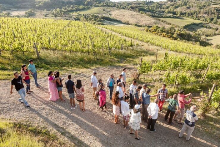 Montepulciano: Vino Nobile Wine Tour — Meet the Producers - Good To Know