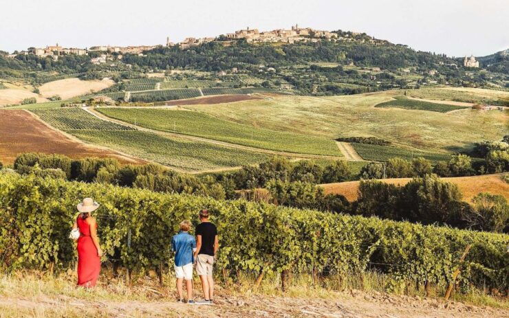 Montepulciano: Vino Nobile Wine Tour — Meet the Producers - Winery Visits