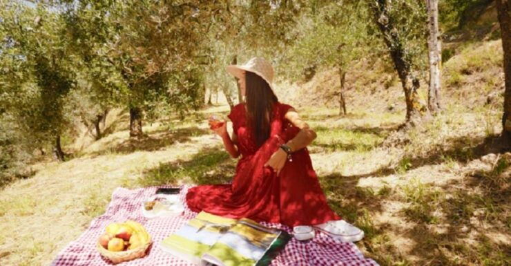 Montepulciano: Wine Cellar Tour & Tuscan Countryside Picnic - Booking Details
