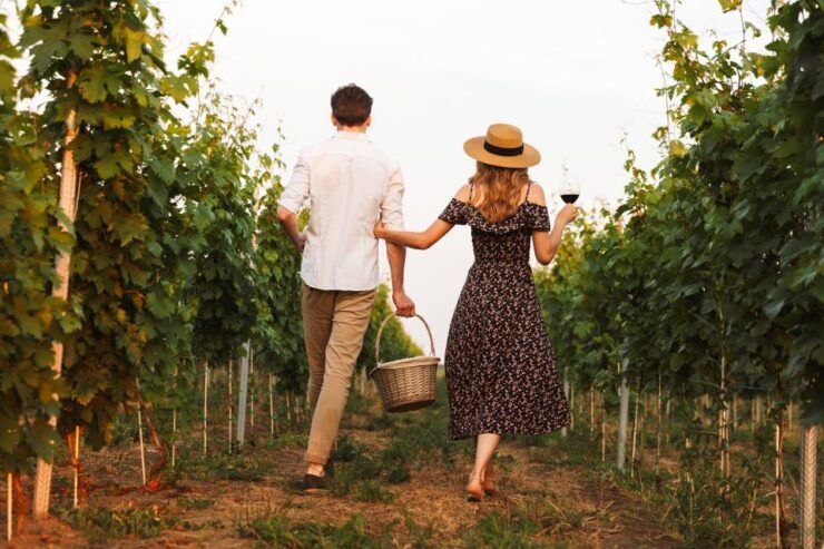 Montepulciano: Wine Cellar Tour & Tuscan Countryside Picnic - Experience Highlights