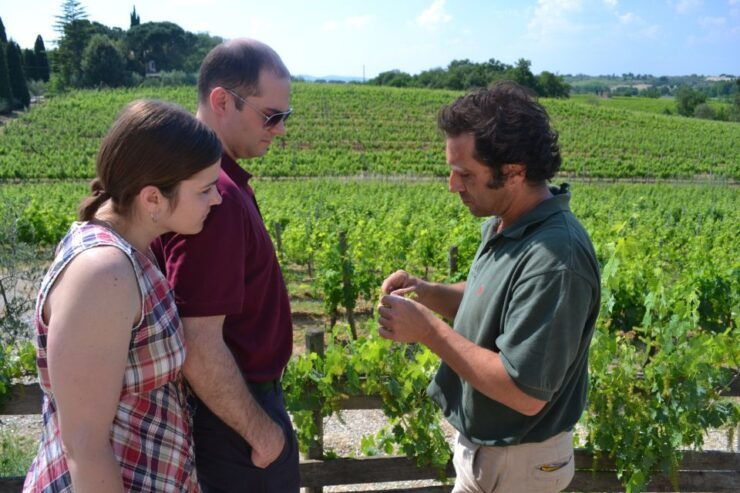 Montepulciano Wine & Cheese Tour With Lunch From Florence - Activity Description