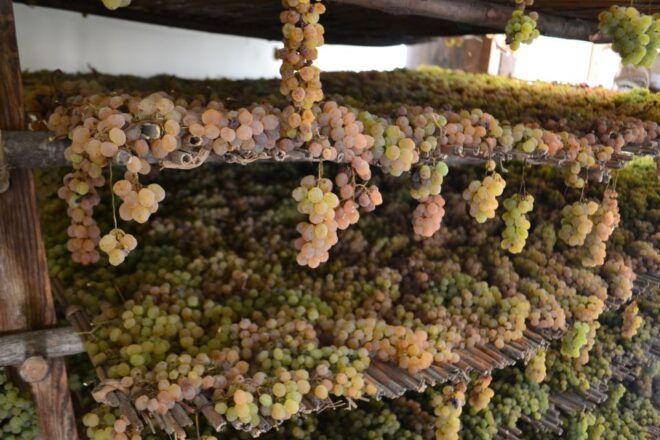 Montepulciano Wine & Cheese Tour With Lunch From Florence - Important Information