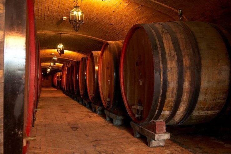 Montepulciano Wine Experience With Tastings & Cheese Pairing - Good To Know