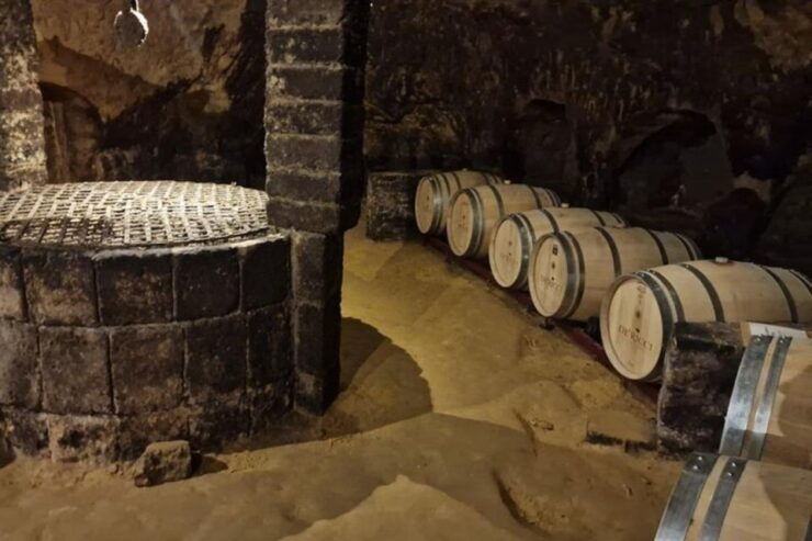 Montepulciano Wine Tasting and Assisi Private Day Tour - Tour Details