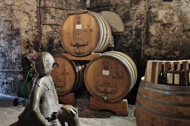 Montepulciano Wine Tasting and Assisi Private Day Tour - Booking Information