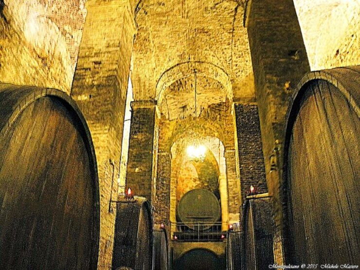 Montepulciano Wine Tasting and Cellar Tour - Inclusions