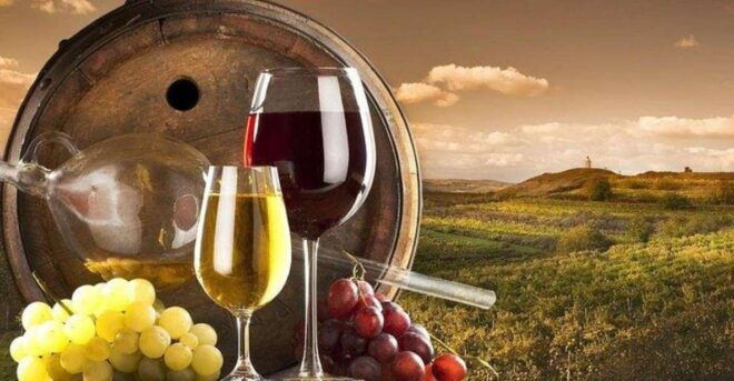 Montepulciano Wine Tasting and Orvieto Private Day Tour - Description