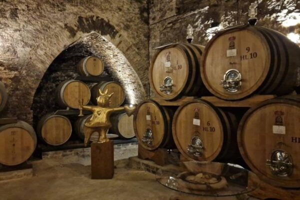 Montepulciano Wine Tasting and Orvieto Private Day Tour - Frequently Asked Questions