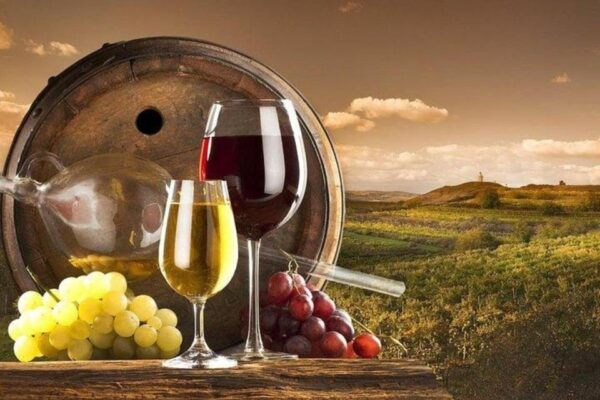 Montepulciano Wine Tasting and Orvieto Private Day Tour - The Sum Up