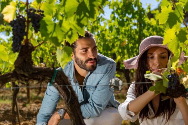 Montepulciano: Wine Tasting in the Tuscan Countryside - Meeting Point and Location